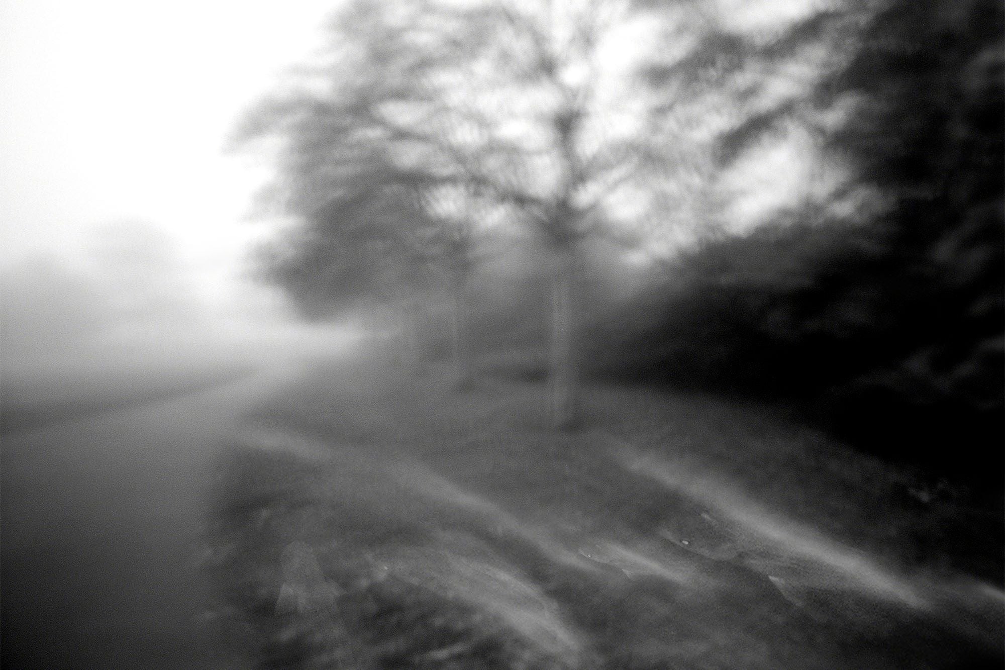 Misty black and white view along a country road lined with blurred trees